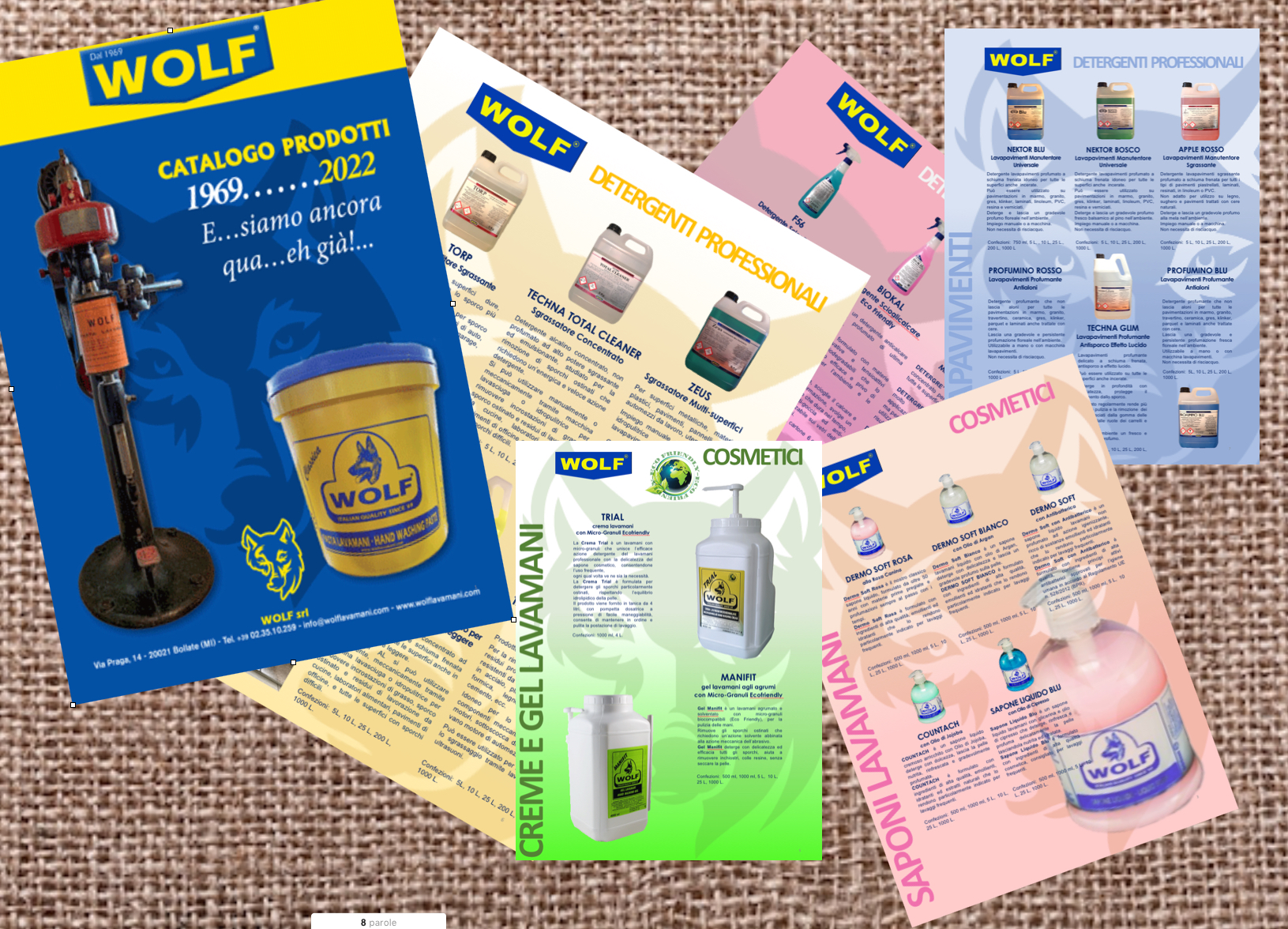 catalogo detergenti WOLF linea professionale